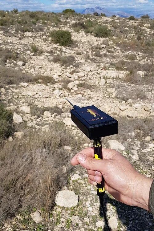 Tesoro Gold Max Alan Tarama