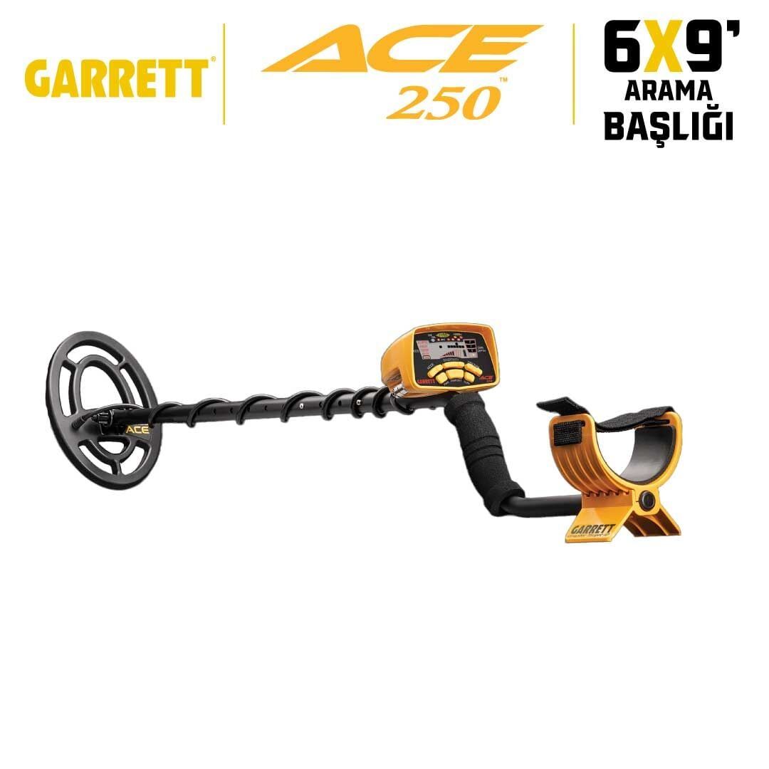 Ace 250 Dedektör