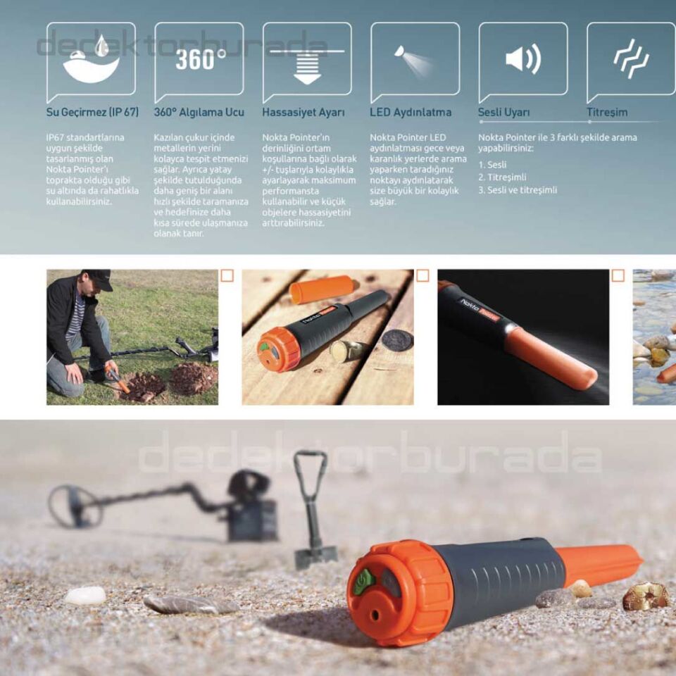 Nokta Pointer