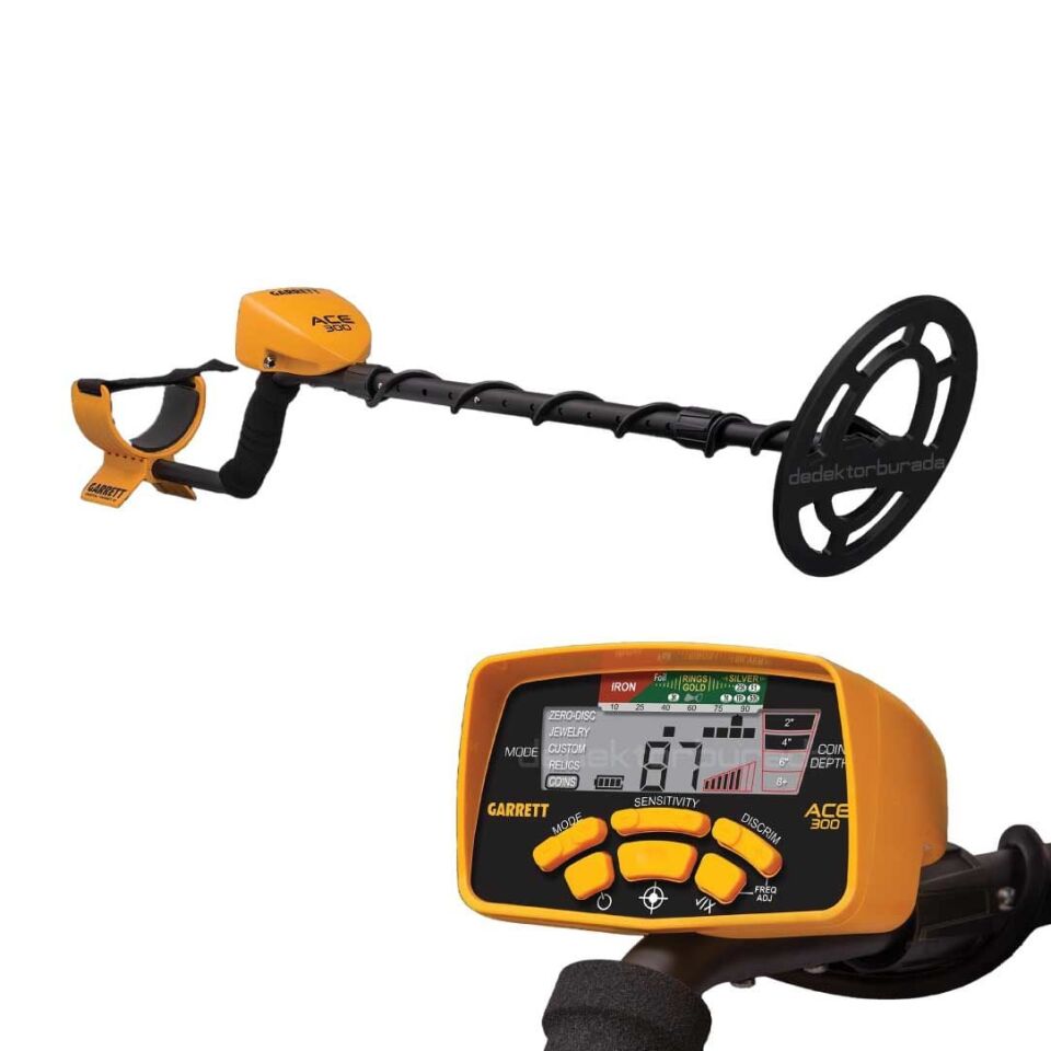 Ace 300i Dedektör