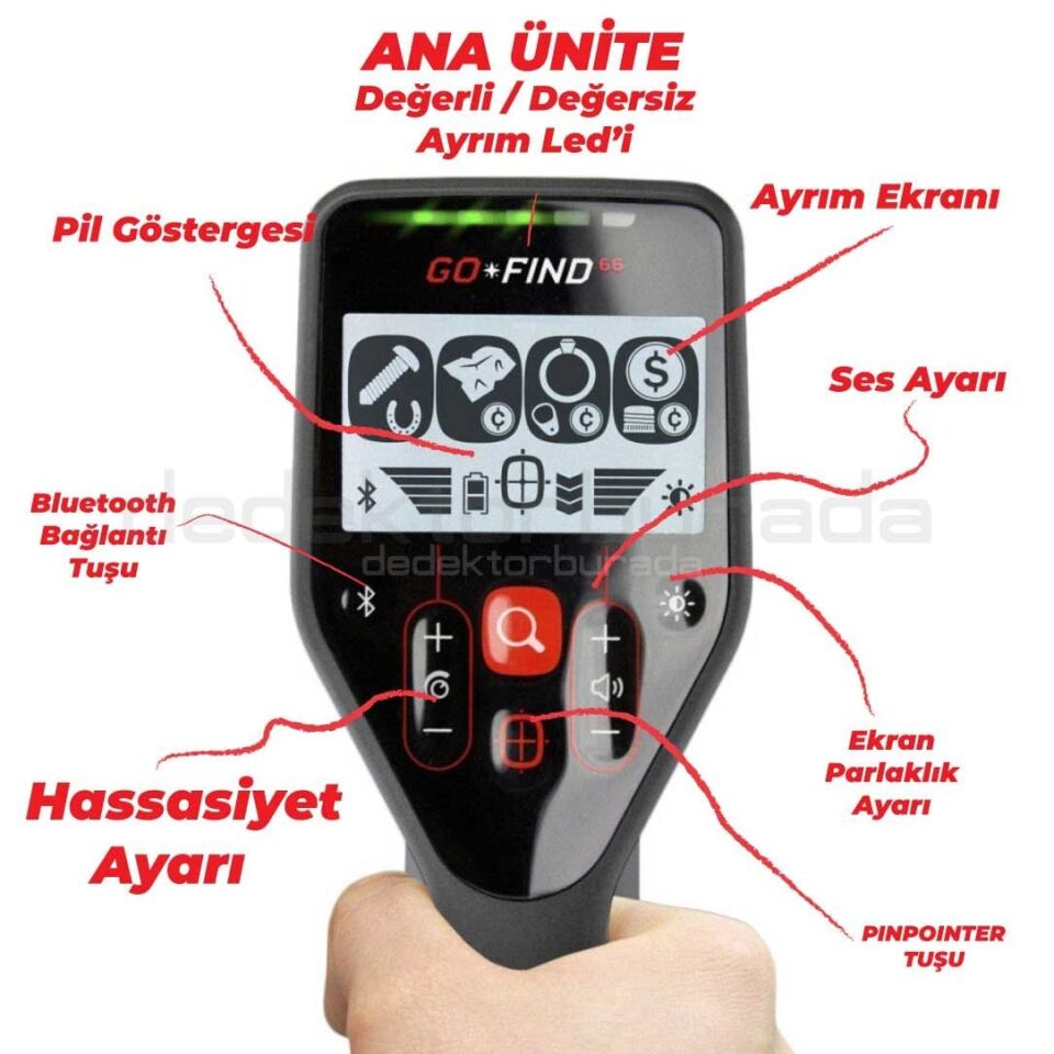 Go Find 66 Dedektör