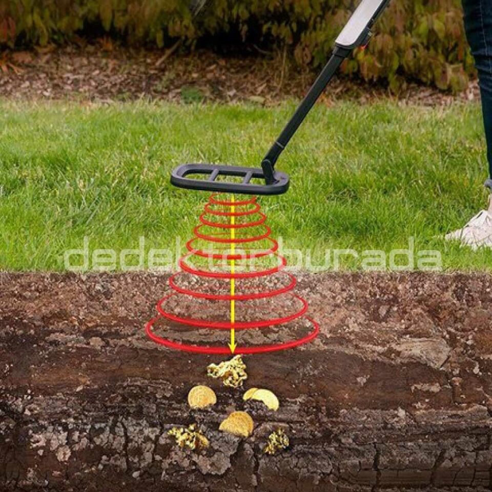 Go Find 22 Dedektör