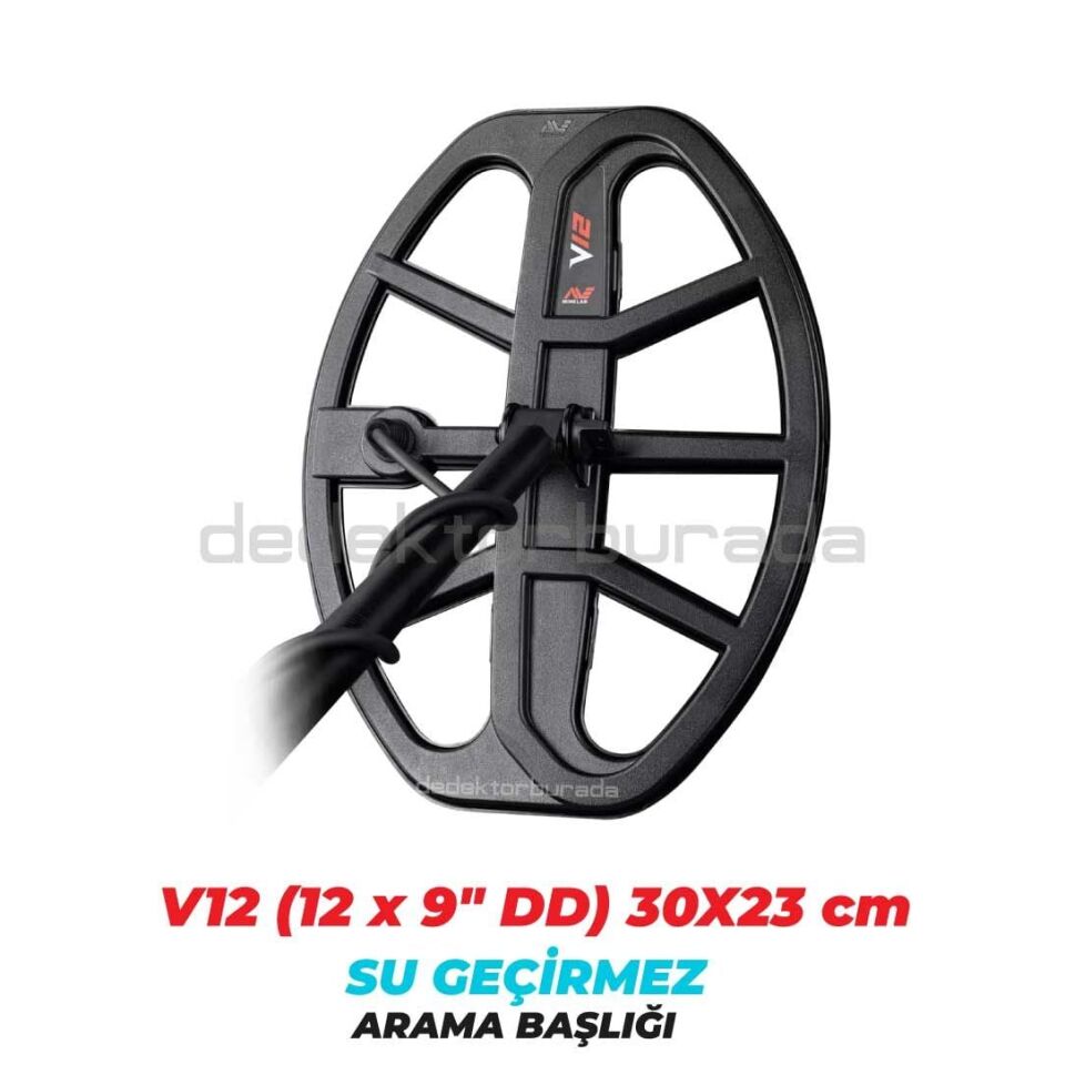 Vanquish 540 Dedektör