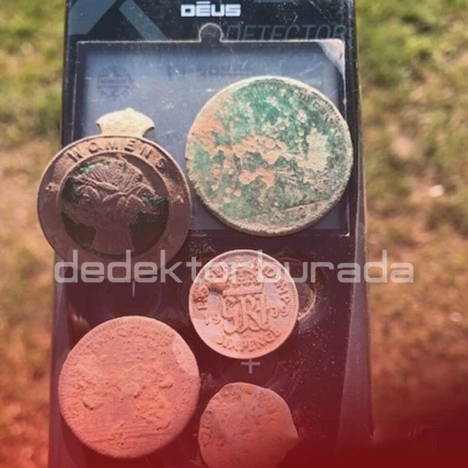 Deus Dedektör - 34x28cm X35 Başlık, Ana Kontrol Ünitesi