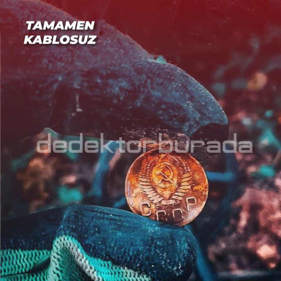 Deus Dedektör - 22,5cm HF Başlık,  WS4 Master