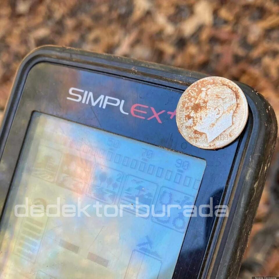 Nokta Simplex+ Dedektör