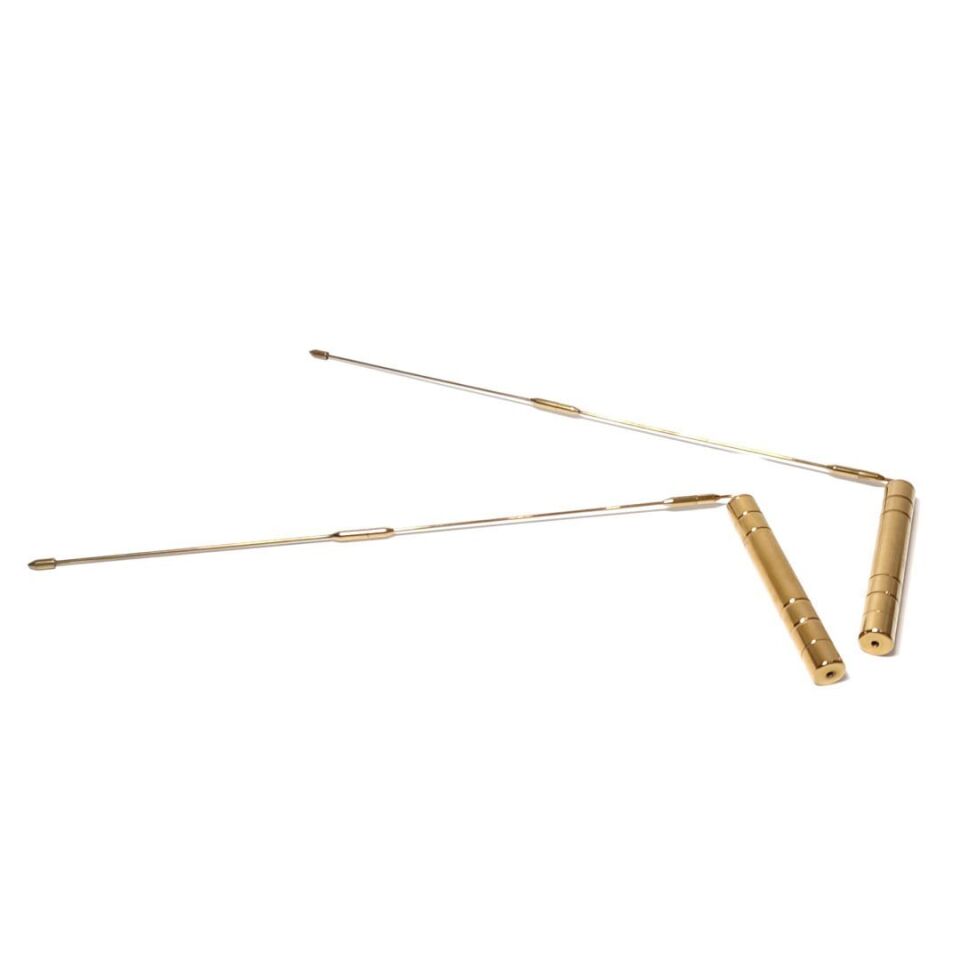 LAGINA LRL Alan Tarama