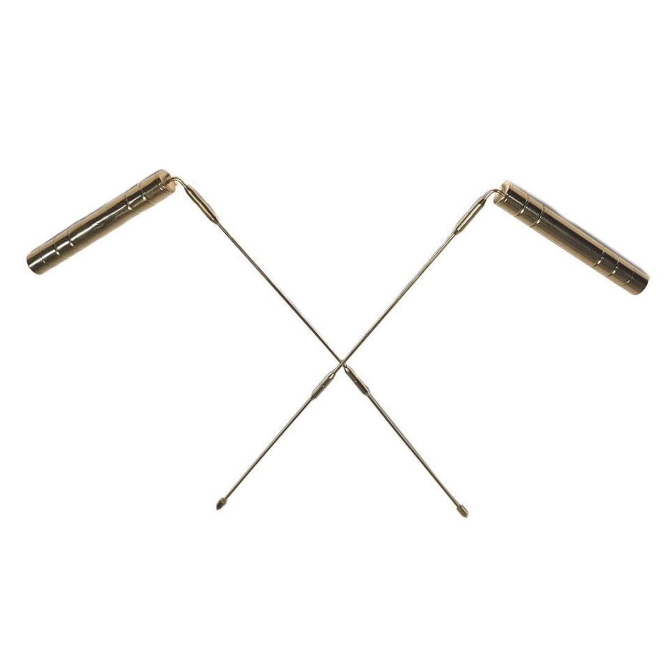 LAGINA LRL Alan Tarama