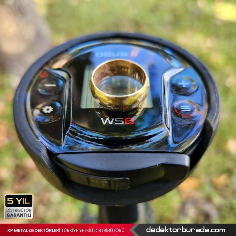 Deus 2 GOLD Dedektör - 24x13cm HF2 Başlık, WS6 Master