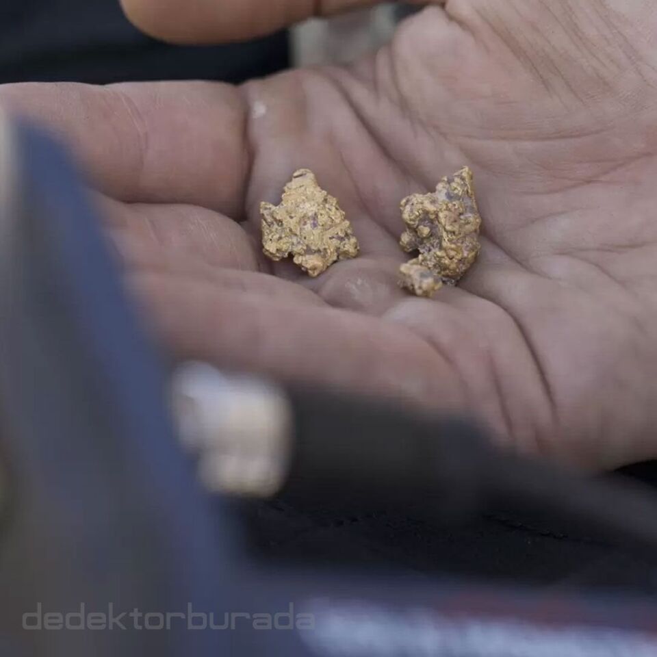 GOLD MONSTER 2000 ALTIN DEDEKTÖRÜ