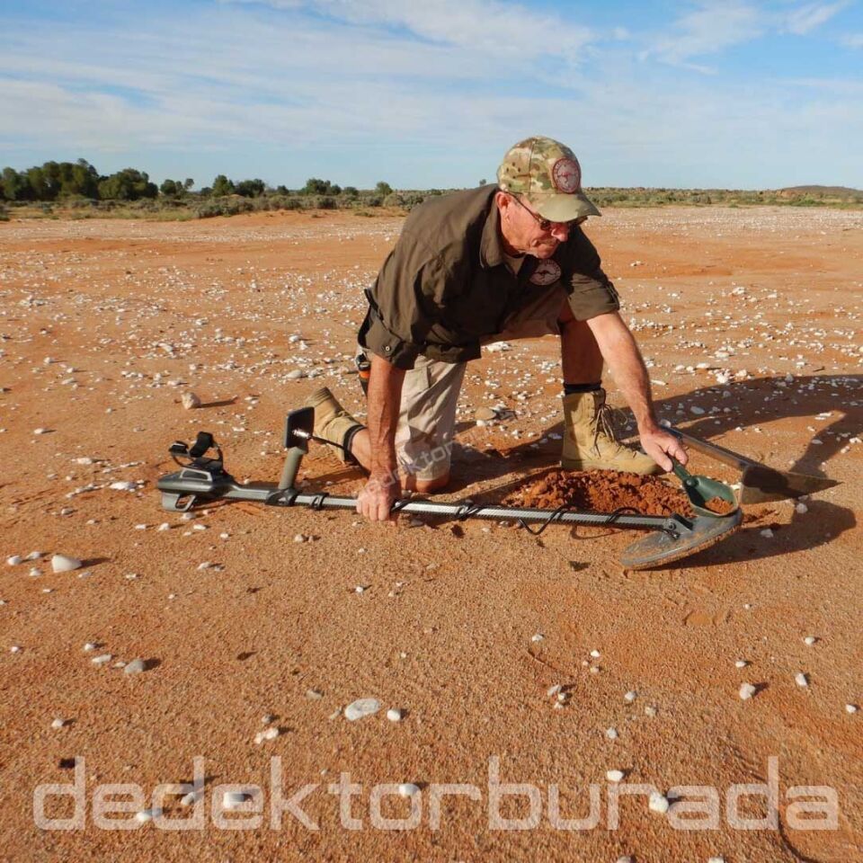 Axiom Lite  Altın Dedektörü 11 inç 28x18 cm MONO Başlıklı